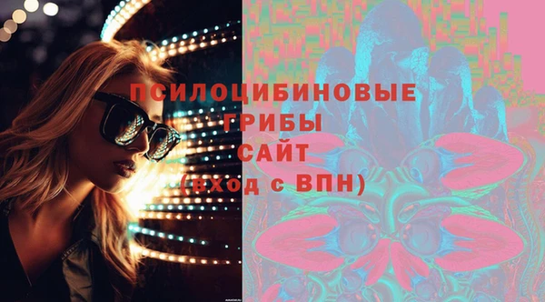 мет Козловка
