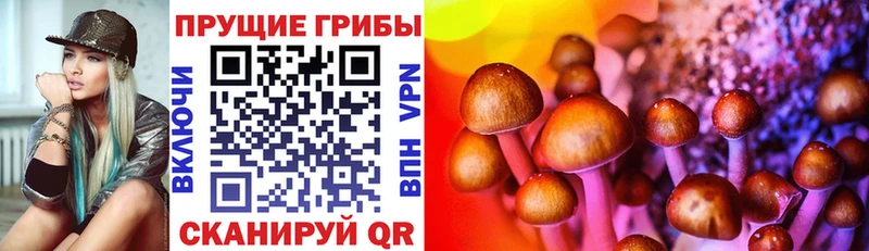 Купить где  Малоярославец  Псилоцибиновые грибы MAGIC MUSHROOMS 
